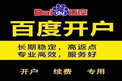 百度推广怎么做：成功案例分析与实战技巧